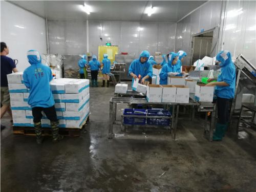 第三方專業驗廠、生產環境檢查與商品檢測報告及禮儀服務全解析